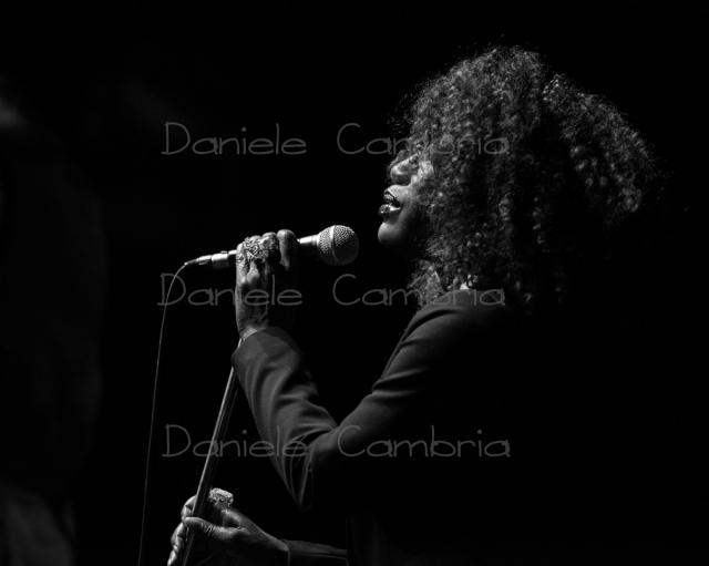 DSC_2586