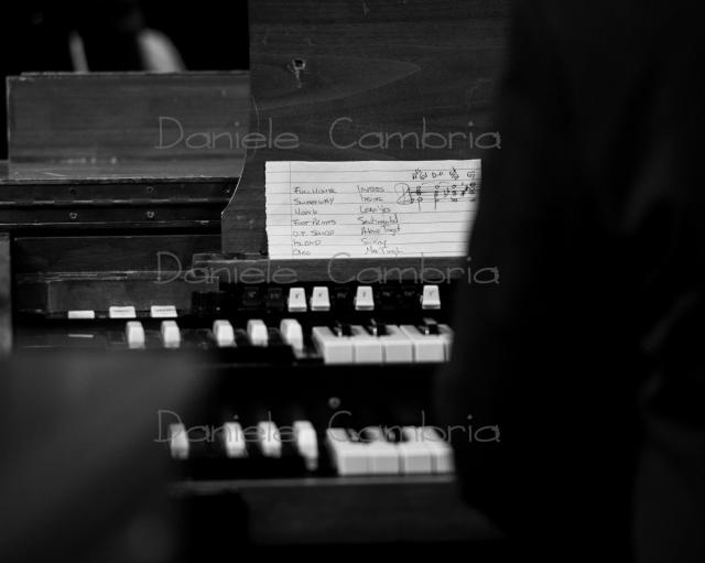 DSC_5133