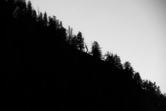 _DSC1875