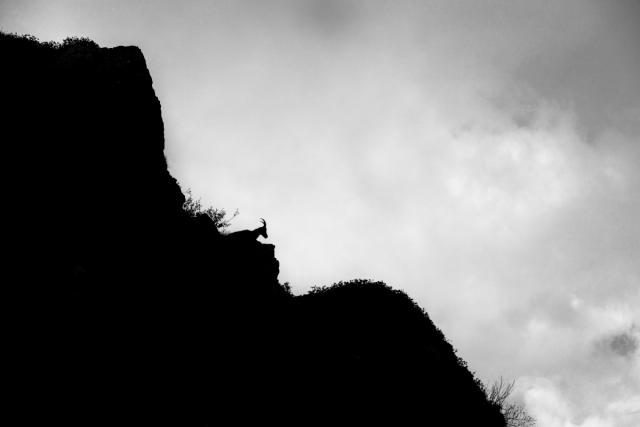_DSC1932