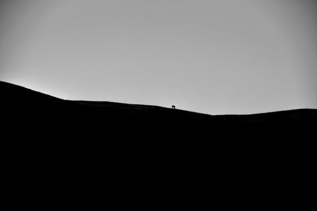 _DSC3659