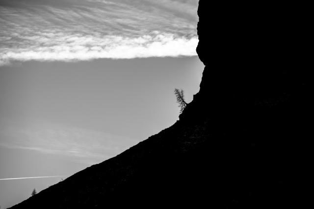 _DSC4267