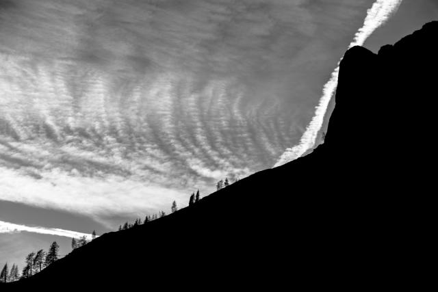 _DSC4276