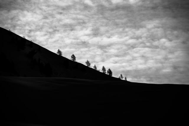 _DSC5859
