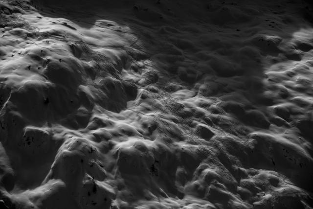 _DSC5888