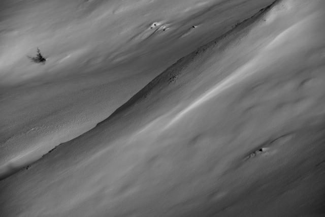 _DSC5902