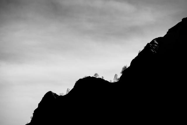 _DSC5942