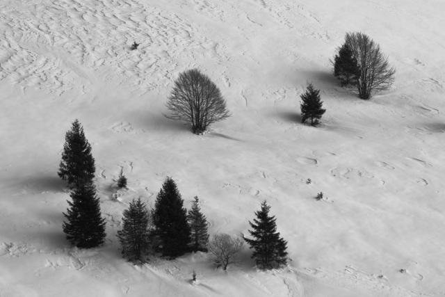 _DSC7434