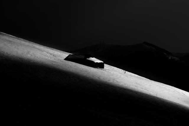 _DSC7437